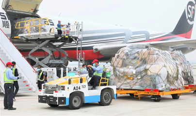 大興機(jī)場(chǎng)也將以打造客貨并舉的國(guó)際航空樞紐建設(shè)運(yùn)營(yíng)新標(biāo)桿為目標(biāo)